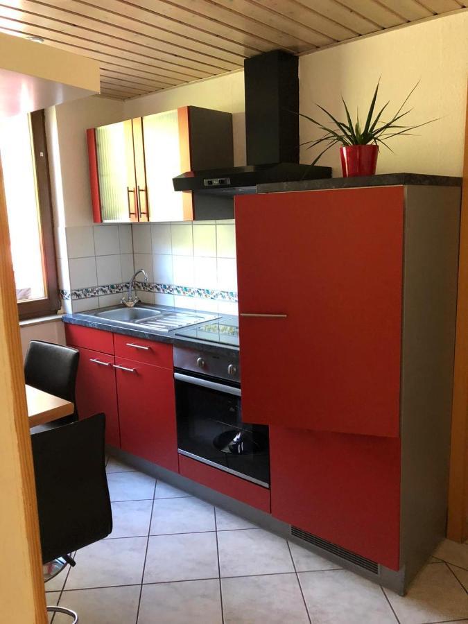 Ferienwohnung Paradies ไฮเดลเบิร์ก ภายนอก รูปภาพ